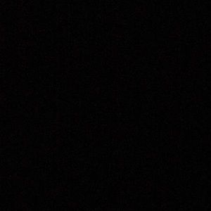 Meet your Posher, Abbey